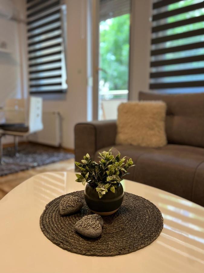 Apartament Centar Ns Nowy Sad Zewnętrze zdjęcie